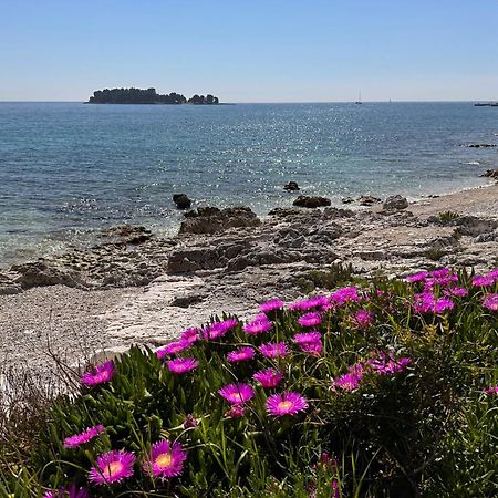 Villa Anthony Rovinj Exteriör bild