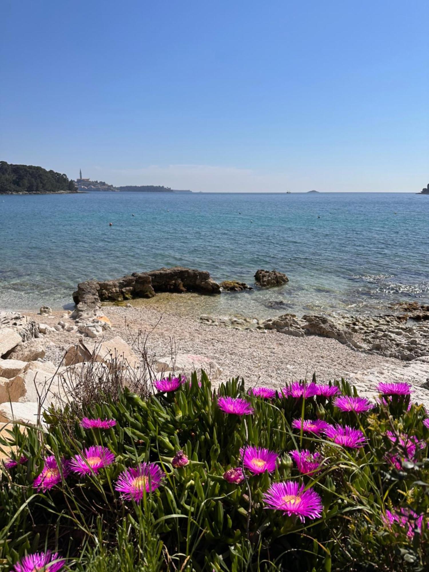 Villa Anthony Rovinj Exteriör bild