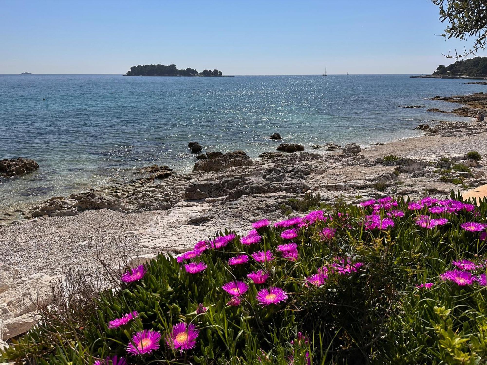 Villa Anthony Rovinj Exteriör bild